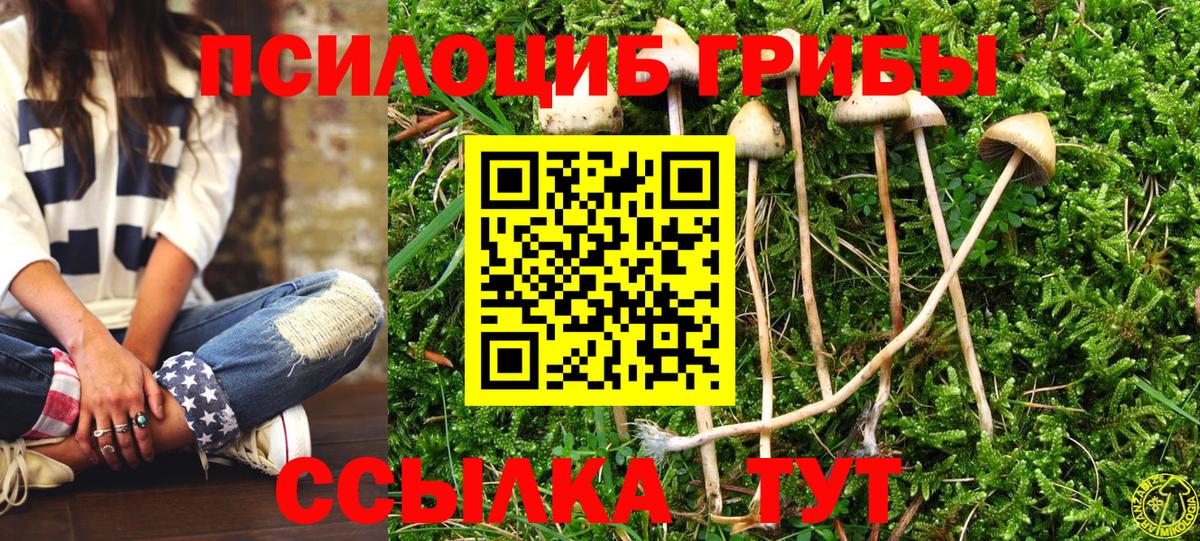 Галлюциногенные грибы прущие грибы  Вход с VPN  Вязьма 